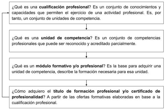 200928 cualificacion profesional estructuracion