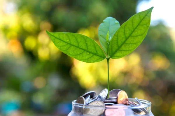 260102_finanzas_sostenibles