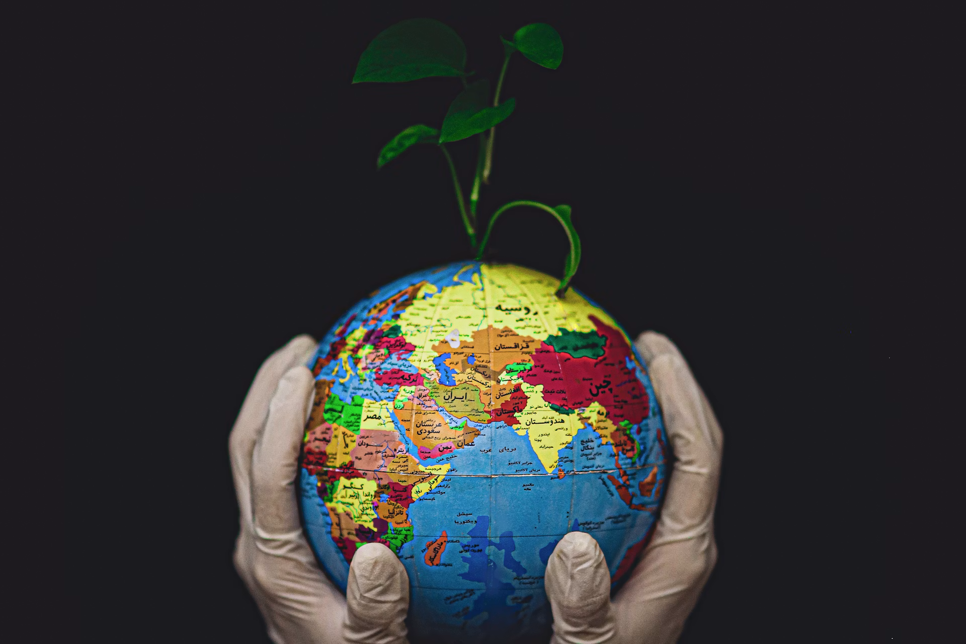 Ecovadis | EQM Consulting